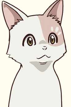 シロタエ