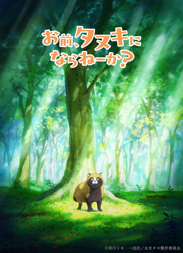 อนิเมะทีวี “Omae, Tanuki ni Naranee ka?” (แกอยากเป็นแรคคูนด็อกไหม?) ประกาศสร้างแล้ว! เผยภาพทีเซอร์และวิดีโอตัวอย่างแรก