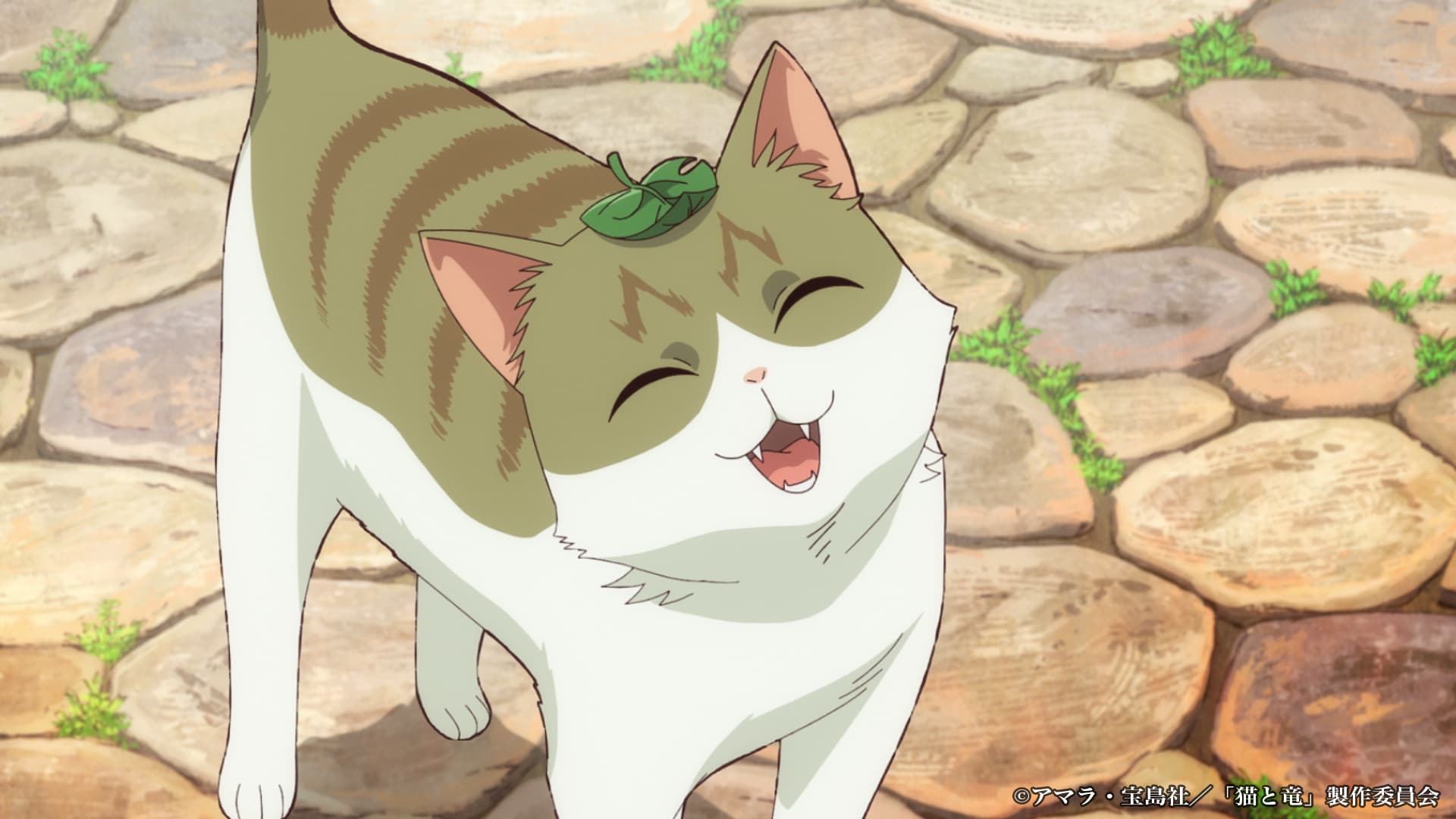 อนิเมะ “Neko to Ryuu” เผย PV แรกพร้อมเพิ่มนักพากย์ Serizawa Yu, Koichi Makoto และ Ichijo Kazuya