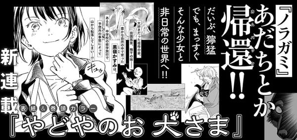 Noragami Creators Adachitoka Announce New Manga "Yadoya no Oinu-sama"