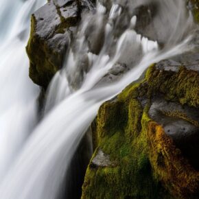 image_0 